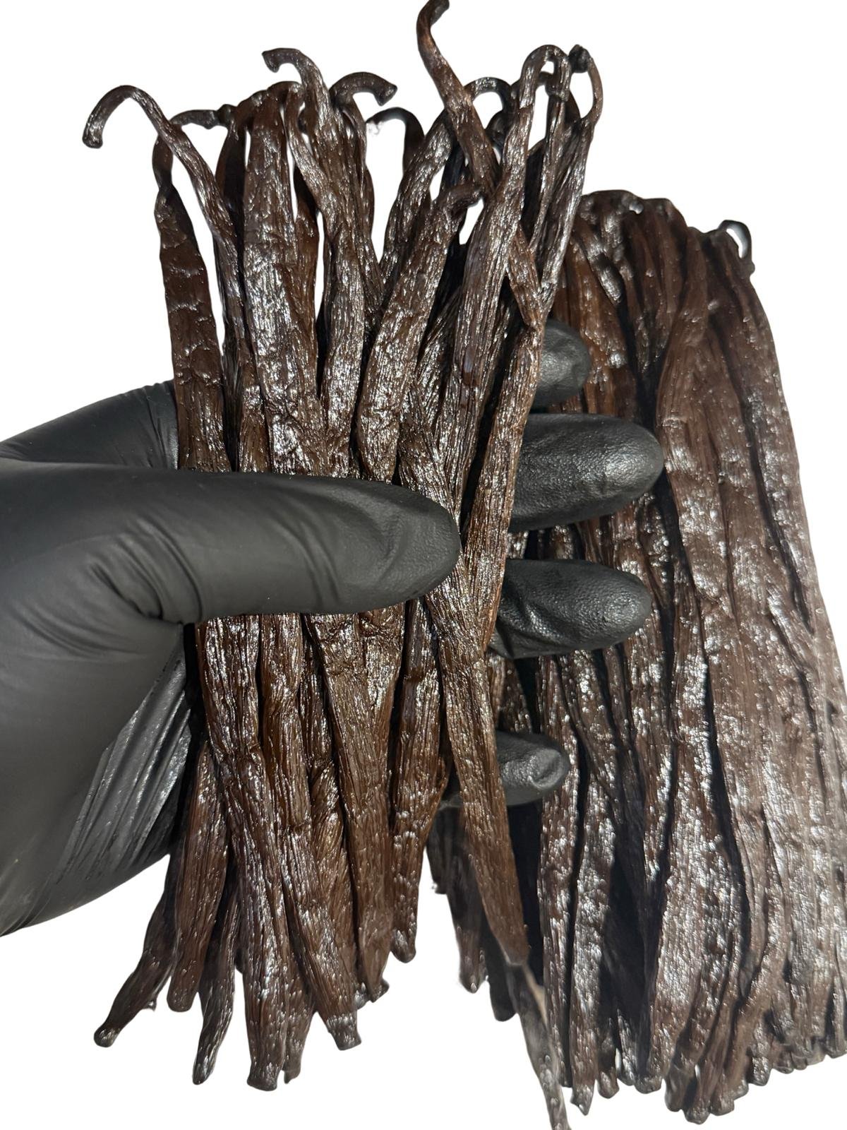 Gousses de Vanille Bourbon